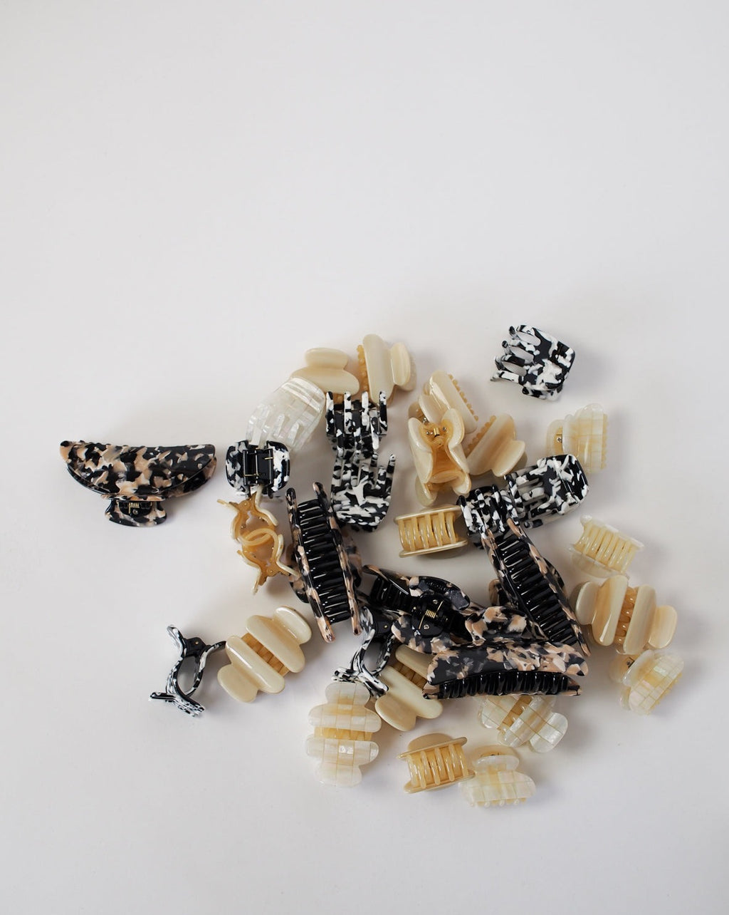 MIDI HEIRLOOM CLAW ABALONE Clip jan-n-june 4