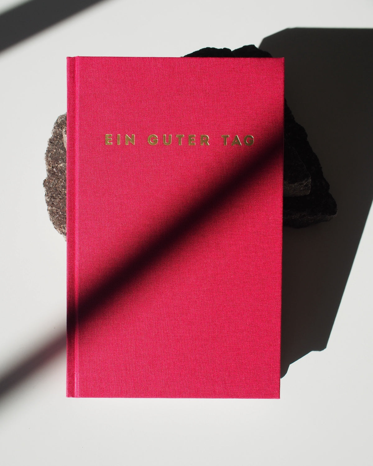 TAGEBUCH EIN GUTER TAG RUBIN jan-n-june 1